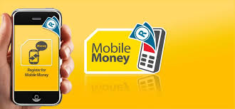 Mobile Money Adoption and Financial Inclusion Trends in Kenya